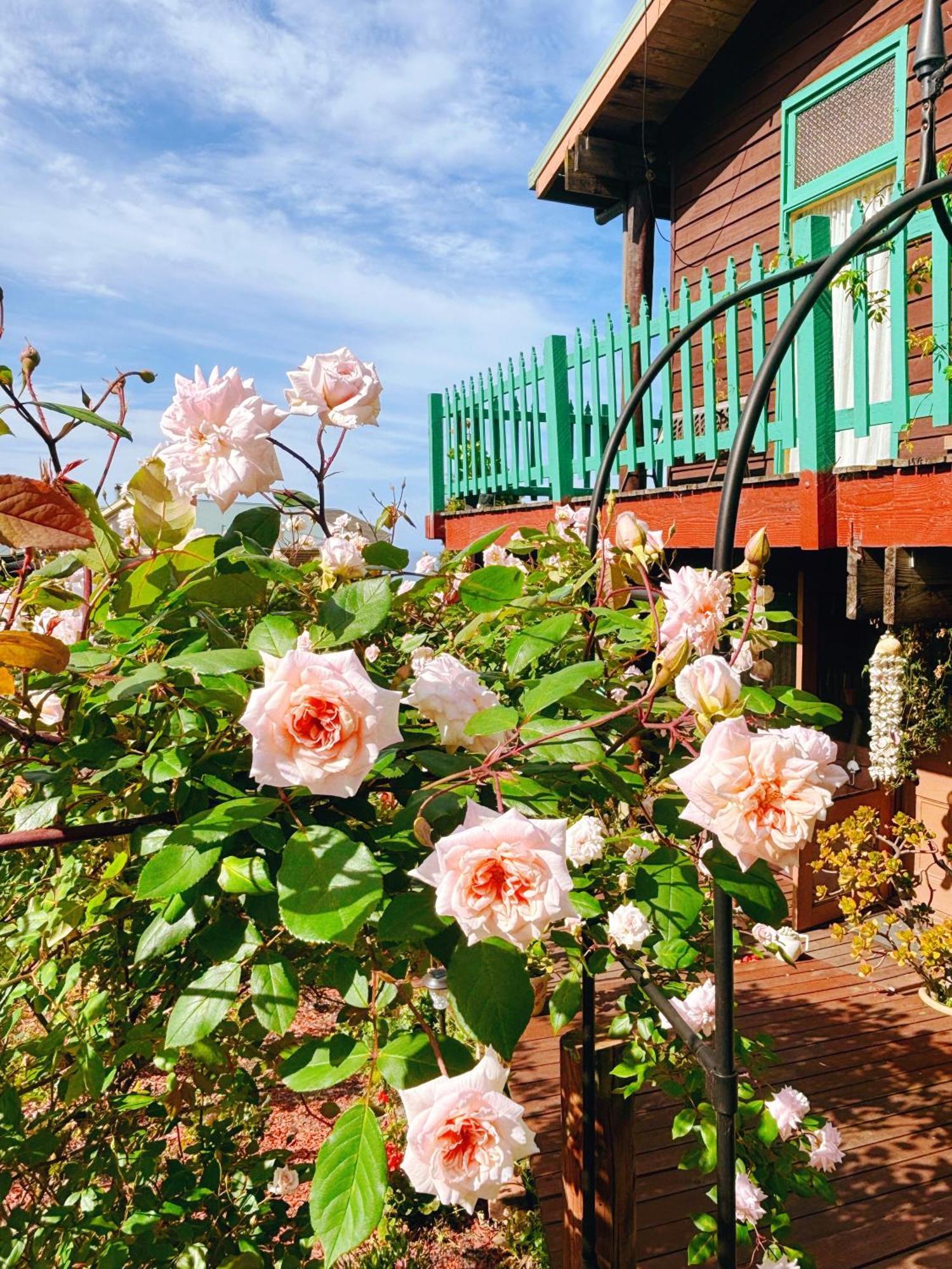 The Goat And Goose Bed & Breakfast Лейкс-Энтранс Экстерьер фото